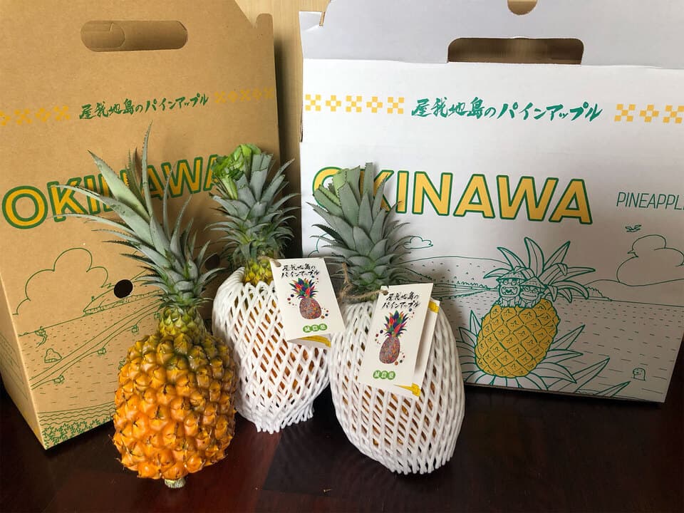 想いがつまった＜完熟スナックパイン＞無肥料・沖縄県屋我地島産
