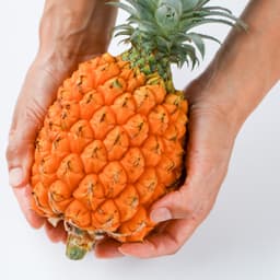 無肥料減農薬・完熟スナックパイン２玉