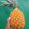 サムネイル 16
