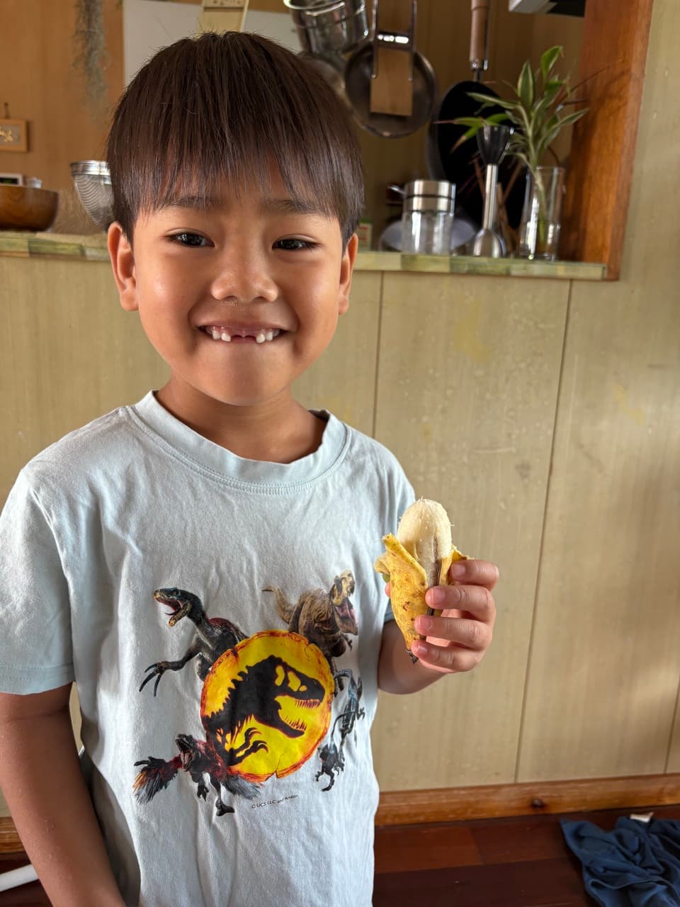 沖縄県産島バナナ　農薬や肥料は使わずなるべく自然のチカラで育てた🍌
