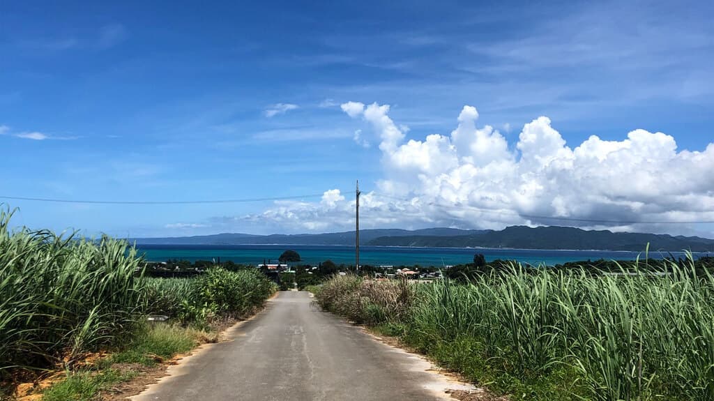 屋我地島 イリ玉城農園メイン画像
