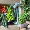 季節の野菜セットＬ　90サイズ