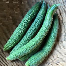 夏の野菜セット①　四葉きゅうり・トマト・ナス
