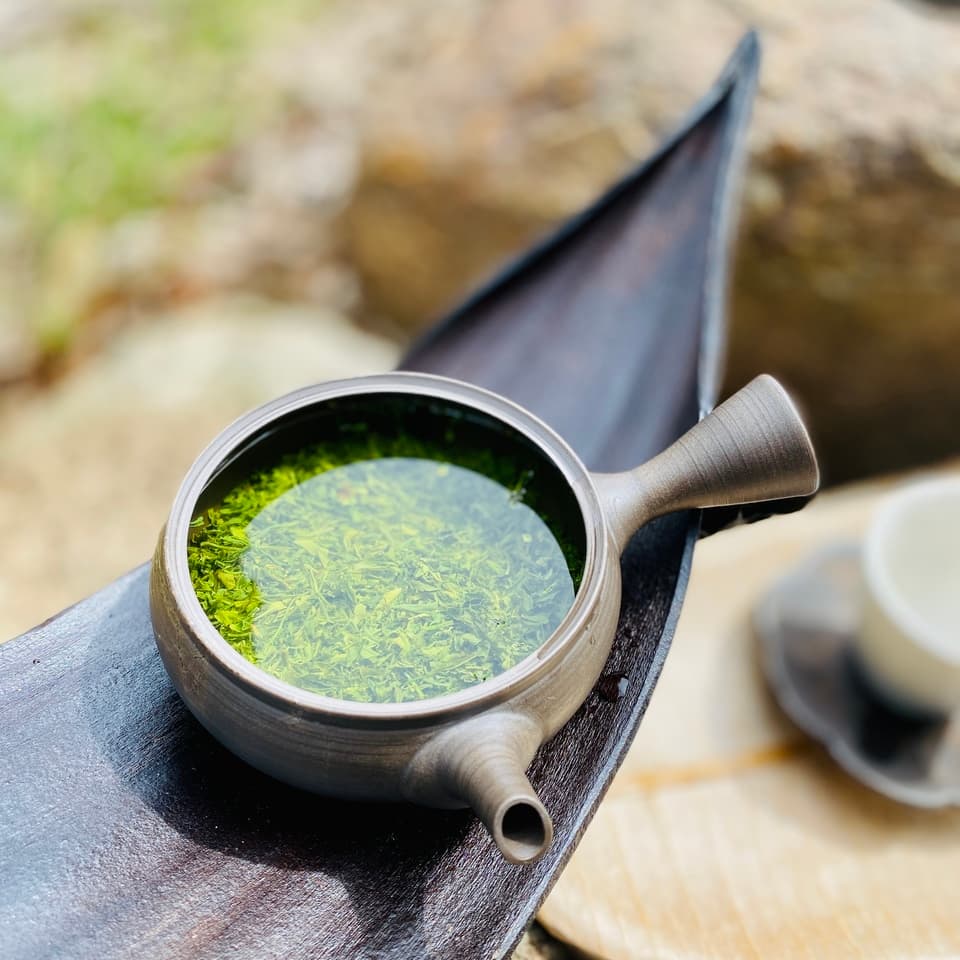 やどりき水源林のお茶 無農薬栽培の一番茶