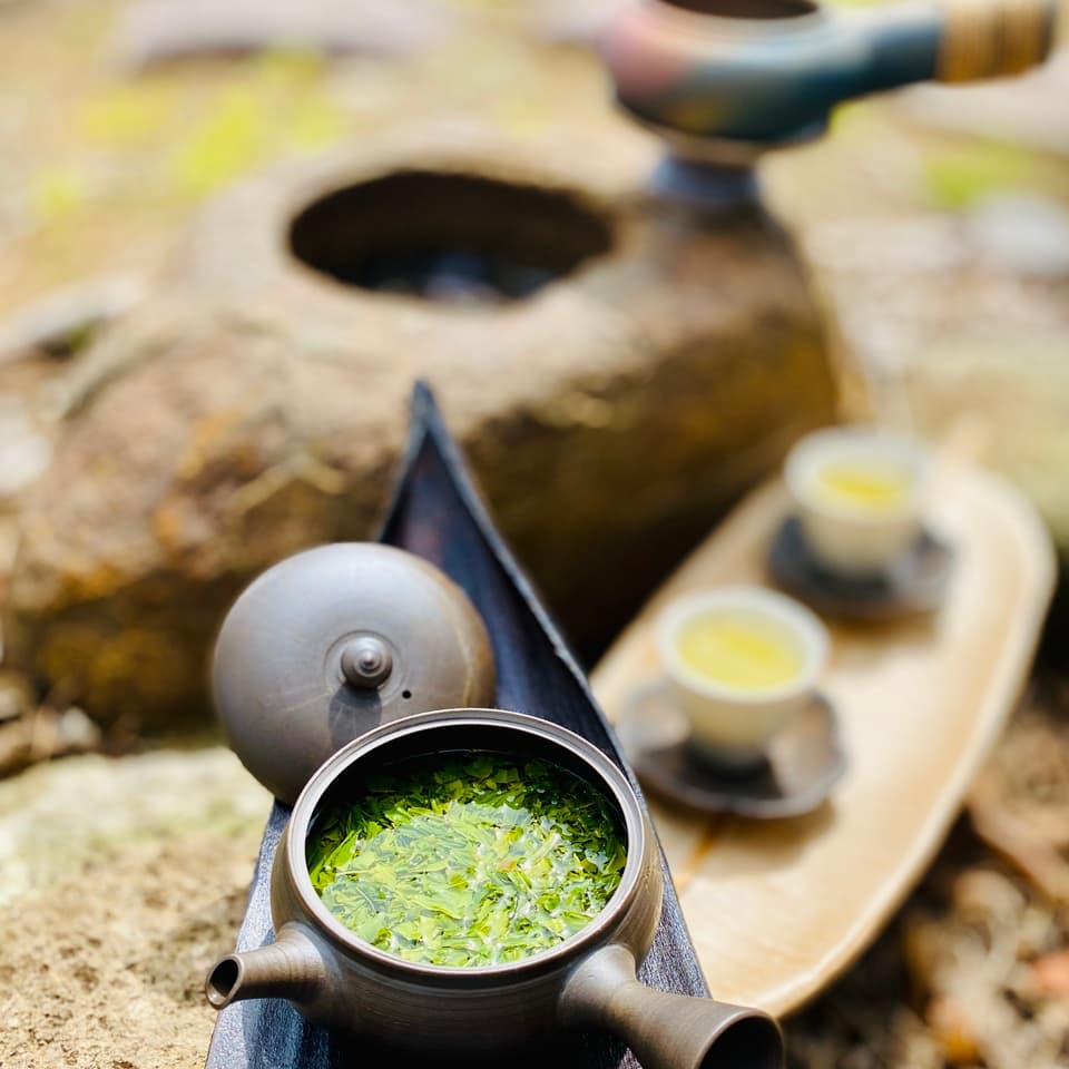 やどりき水源林のお茶 無農薬栽培の一番茶