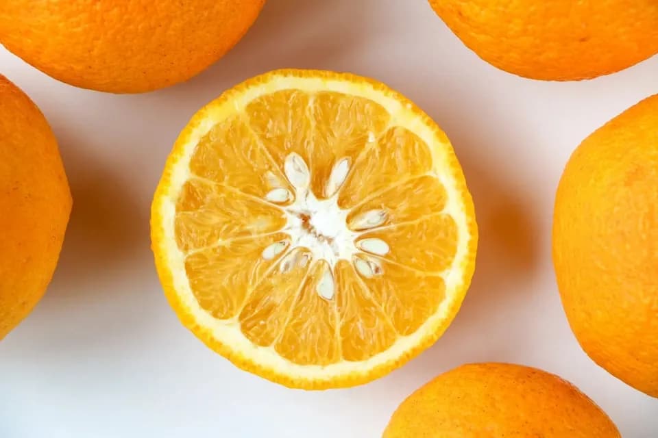 常温発送【甘夏 自然栽培 樹上熟成】農薬・化学肥料・除草剤不使用25年以上　下灘の太陽と潮風が育てた酸味と甘みが魅力の昔ながらの柑橘