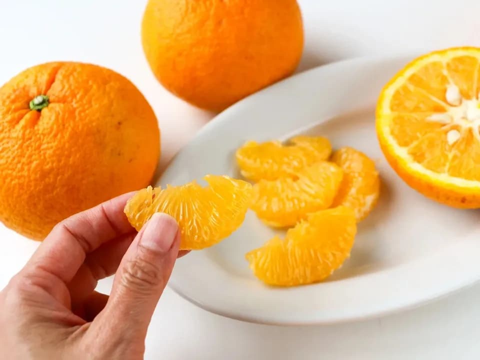 常温発送【甘夏 自然栽培 樹上熟成】農薬・化学肥料・除草剤不使用25年以上　下灘の太陽と潮風が育てた酸味と甘みが魅力の昔ながらの柑橘