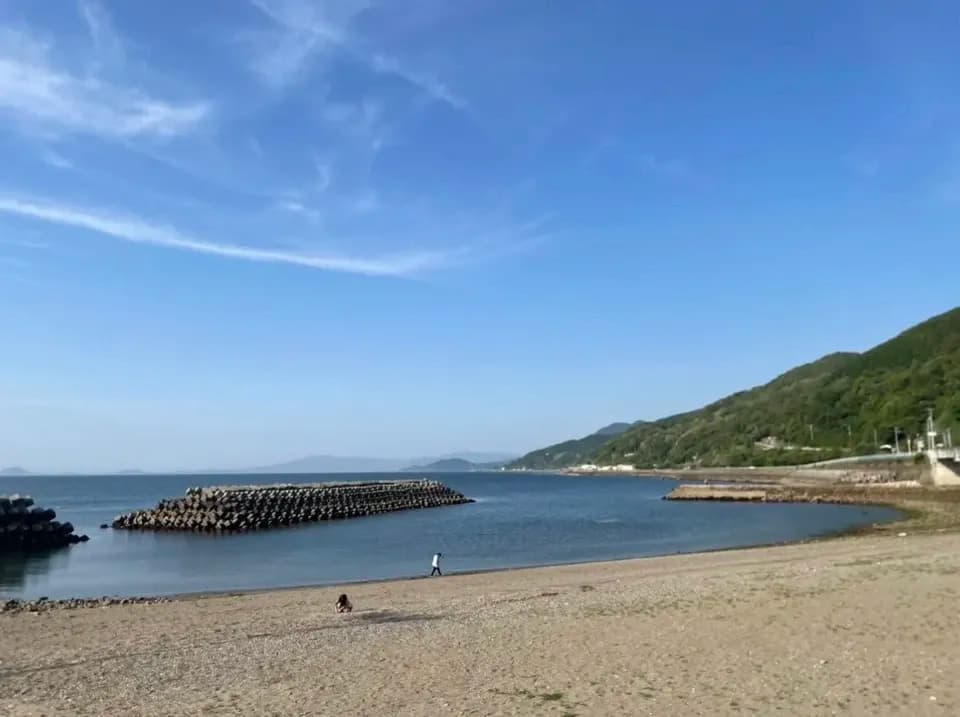 自然栽培 樹上熟成【びわ ビワ(田中枇杷) 】農薬・化学肥料・除草剤不使用25年以上　下灘の太陽と潮風が育てた酸味と甘みが魅力の昔ながらの枇杷