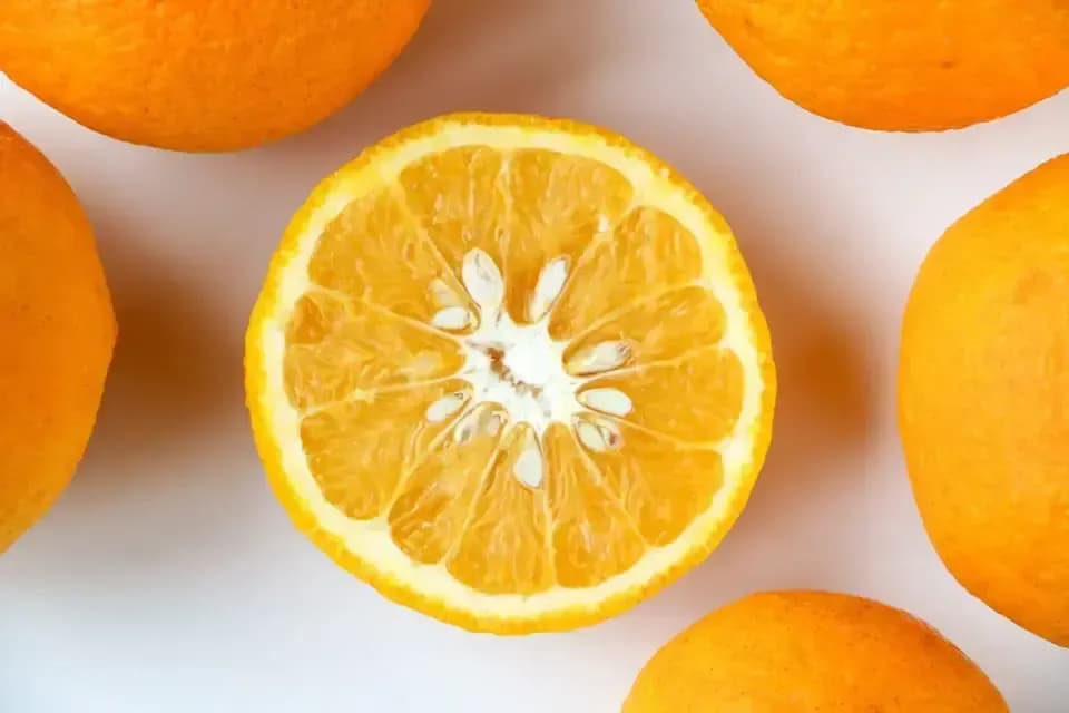 クール便発送【甘夏 自然栽培 樹上熟成】農薬・化学肥料・除草剤不使用25年以上　下灘の太陽と潮風が育てた酸味と甘みが魅力の昔ながらの柑橘