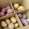 じゃがいも4種類食べ比べ4kg(1kg×4品種）
