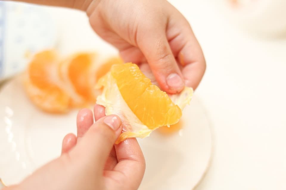 【自然栽培】宮内伊予柑(いよかん) 農薬・肥料不使用・愛媛県産