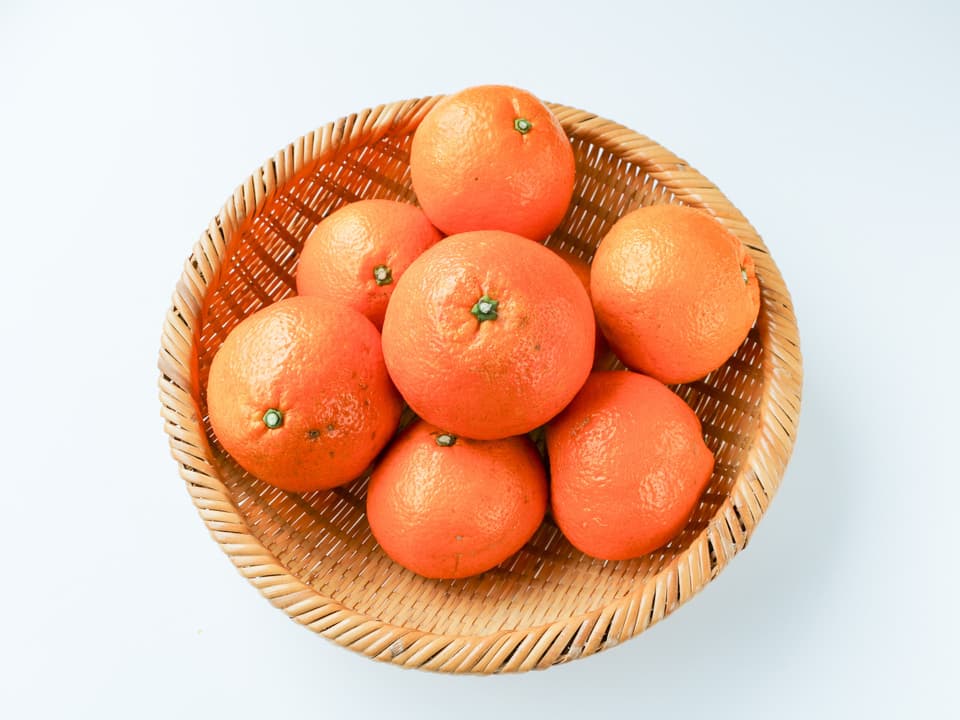 【自然栽培】宮内伊予柑(いよかん) 農薬・肥料不使用・愛媛県産