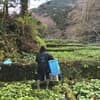 サムネイル 12