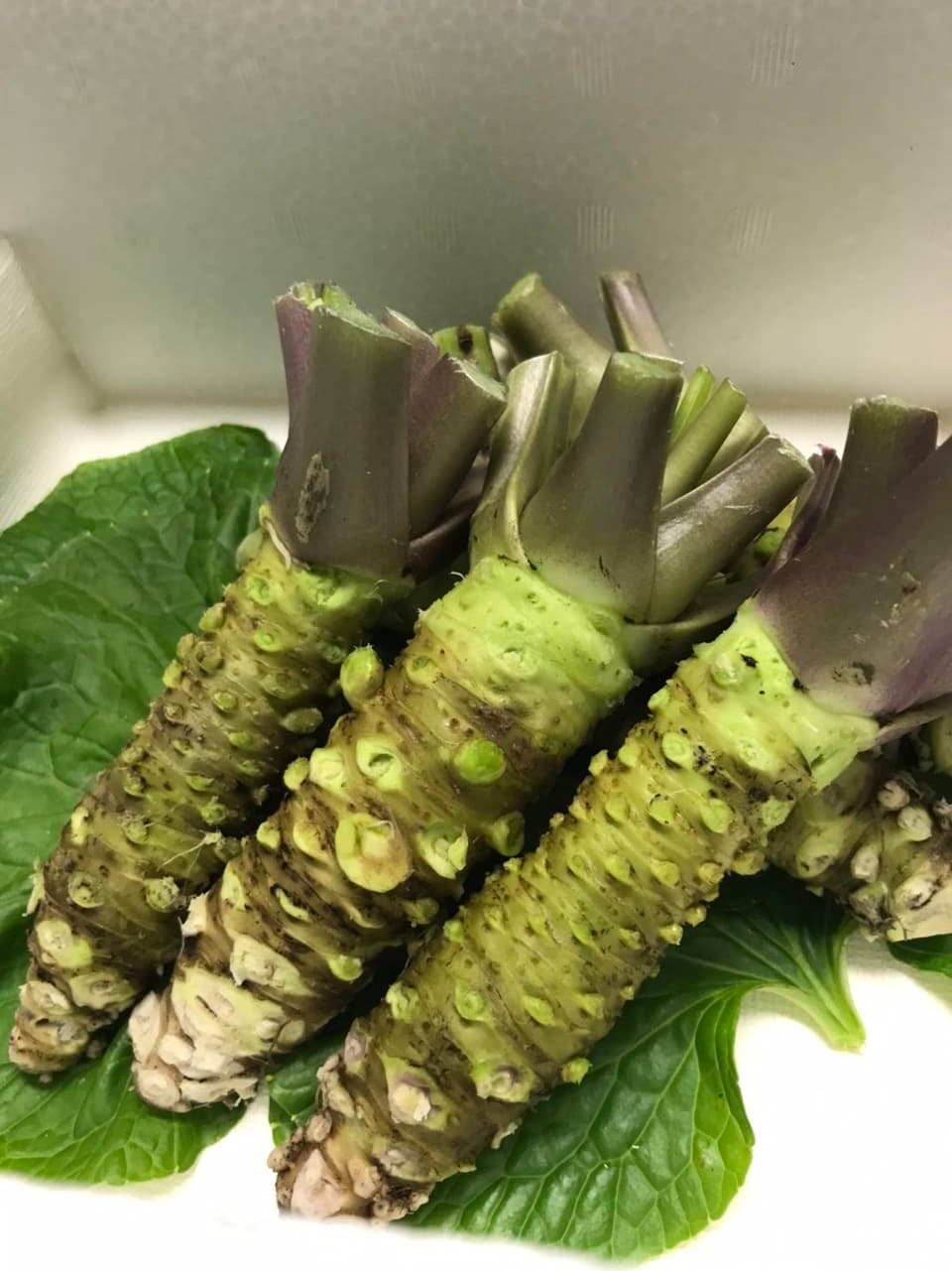 天城山麓の恵み！無農薬本わさび