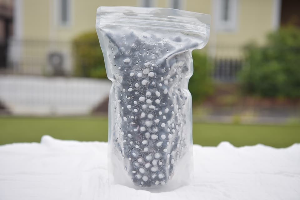 完全自然栽培【加工用冷凍ブルーベリー】 無洗浄の新鮮な状態で冷凍してお届け