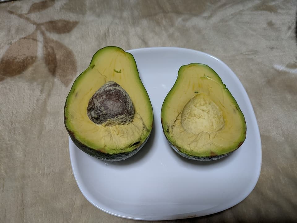 無農薬・肥料不使用＜奇跡の国産・愛媛アボカド＞興居島の自然と育む旬の味を産地直送