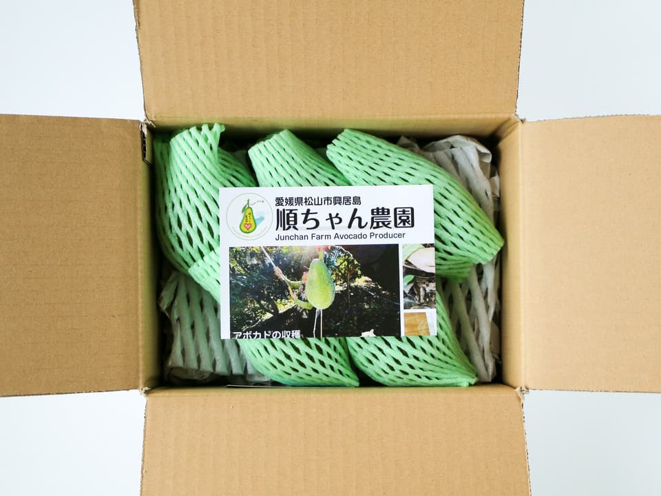 無農薬・肥料不使用＜奇跡の国産・愛媛アボカド＞興居島の自然と育む旬の味を産地直送
