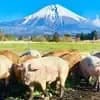 サムネイル 6