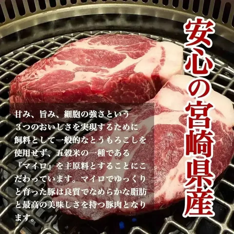 「さんきょうみらい豚」熟成豚バラ焼肉