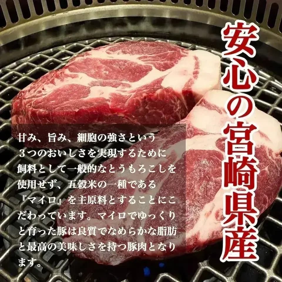 「さんきょうみらい豚」熟成肩ロース焼肉