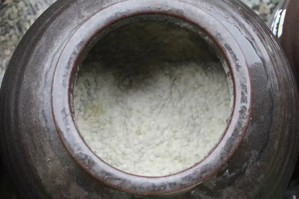 三年熟成【桷志田 有機黒酢】有機玄米仕込み