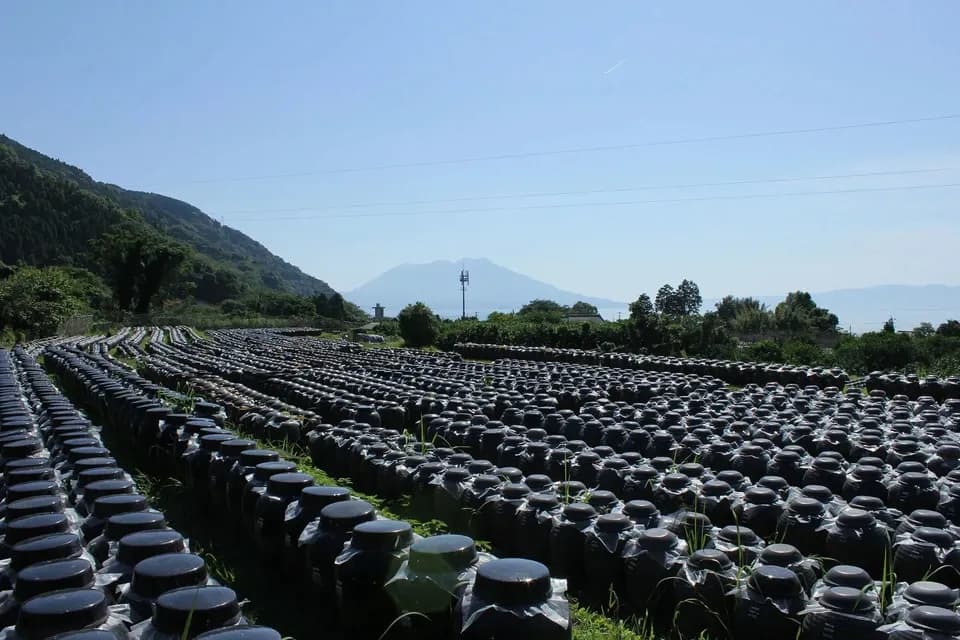 三年熟成黒酢使用＜食べる黒酢 ちょい辛＞有機原料仕込み