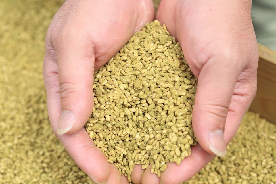 国産玉ねぎの黒酢ドレッシング ＜オニオン＞三年熟成黒酢使用