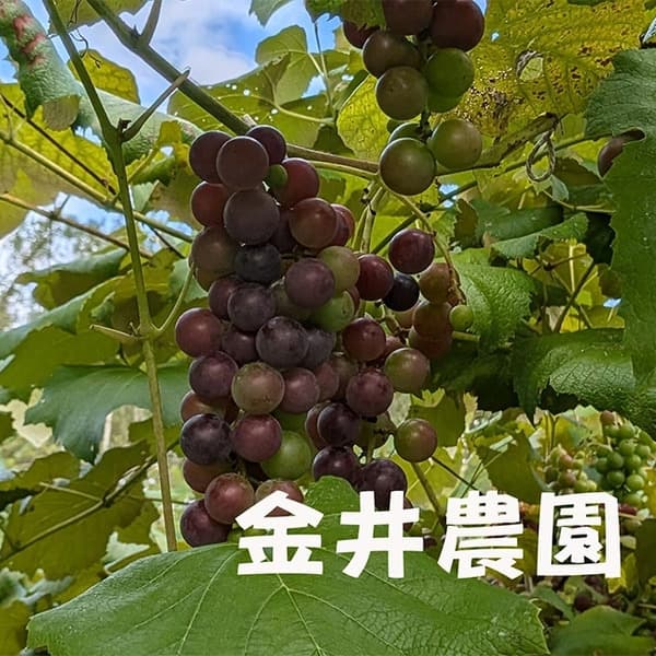 金井農園ロゴ
