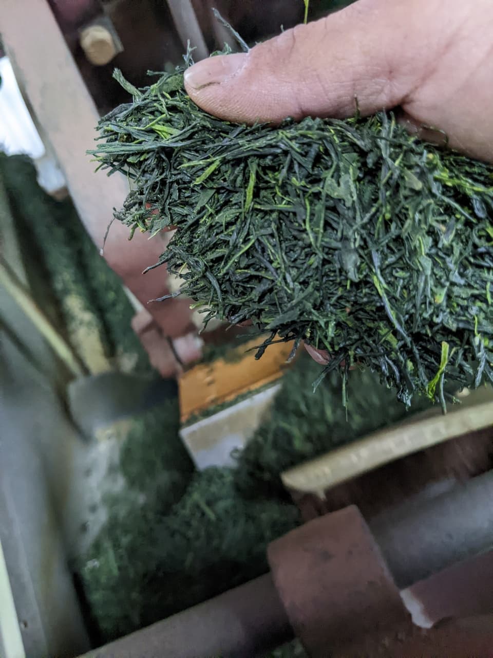 高級感のある深い味わい＜若葉＞無農薬・無化学肥料栽培茶