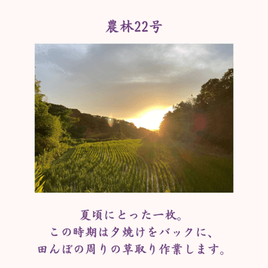 令和5年度お米作り