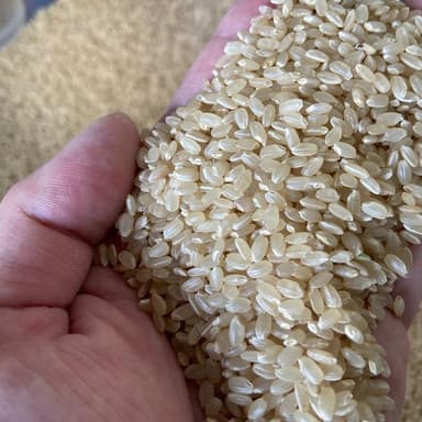 お米の美味しさを測る一つの指標、食味値を測ってもらいました。