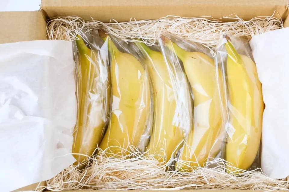 農薬不使用で皮まで食べられる＜金太郎バナナ＞神奈川県産グロスミッシェル