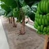 サムネイル 10
