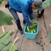 サムネイル 7