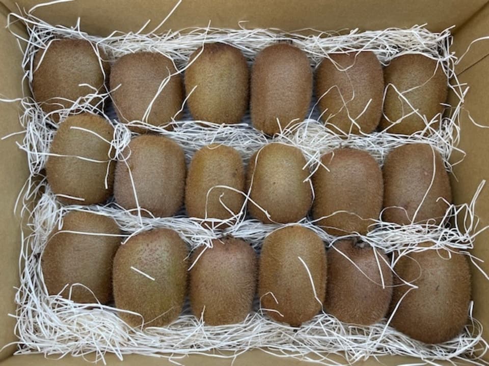 無農薬キウイフルーツ　良品18個入り