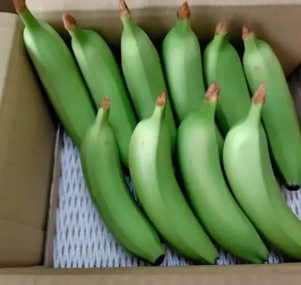 村上様専用
