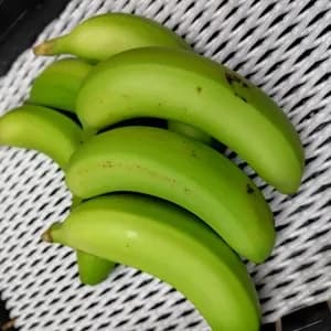 農薬不使用で皮まで食べられる金太郎バナナ＜青バナナ・訳あり品＞神奈川県産グロスミッシェルの口コミ・レビュー(chocoさん)