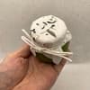 極1瓶