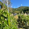 サムネイル 10
