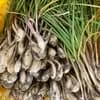 島ラッキョウ500g（選べるオマケ付き！）