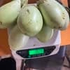 とろ～り翡翠茄子1㎏