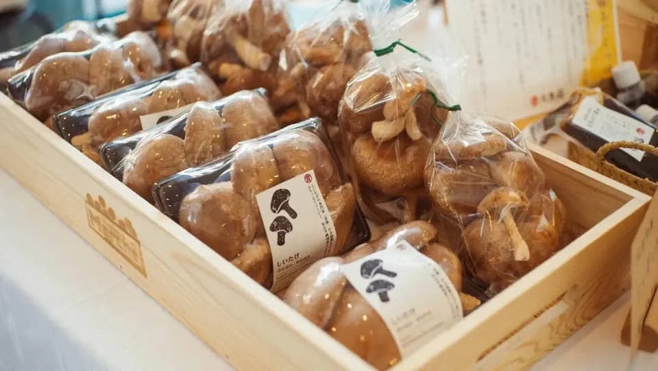 農薬・化学肥料不使用、自然栽培＜阿波の玉手箱（極旨椎茸）＞お野菜と平飼たまご。徳島のおいしいもの詰め合わせ【ただいま葉物中心・小さめ人参入ります】