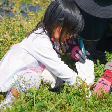 畑に来たら世界が変わる？！　ー　親子体験パック　―