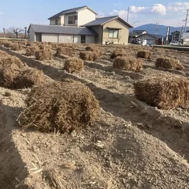 畑の違いを知りたければ、畝を見よ？！　ー農家ごとに現れる多様で個性的な世界ー
