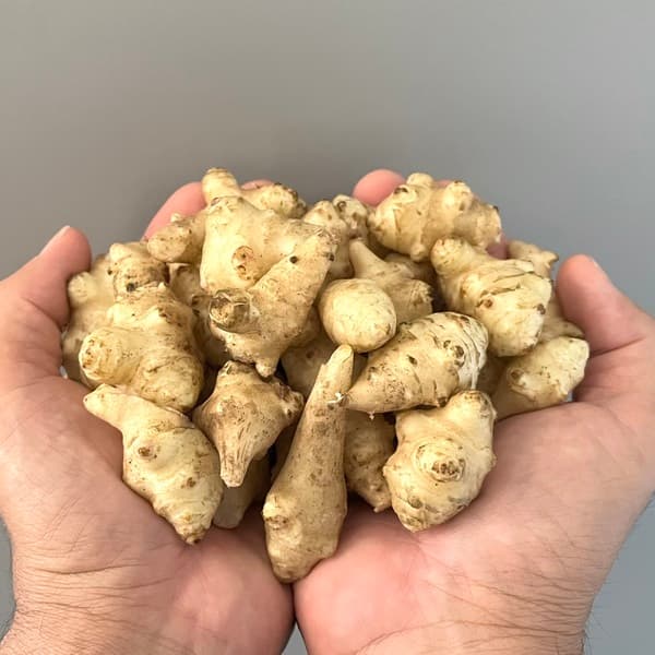 500g　※写真は300gです。