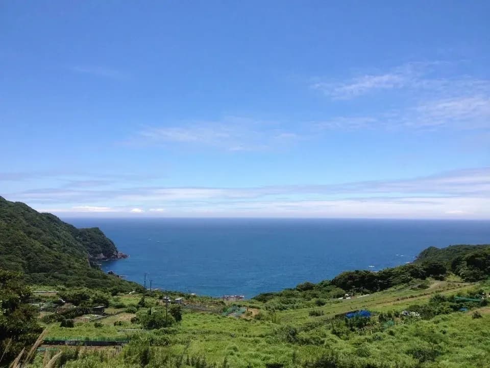 鹿児島坊津の伝統野菜＜寝太郎スイカ＞自然栽培の濃厚な甘みと旨みが広がる夏のごちそう