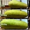 サムネイル 6