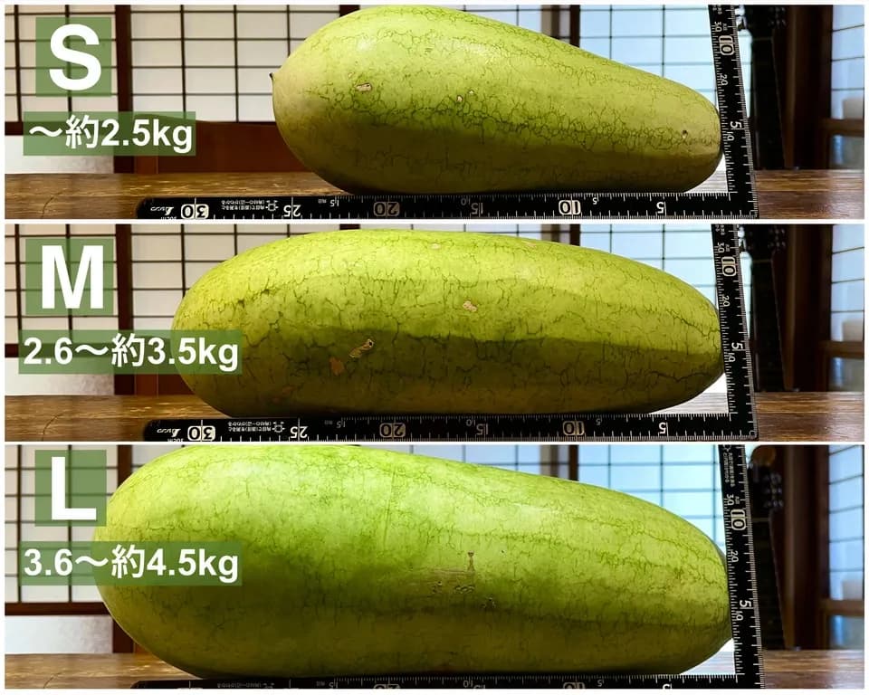 鹿児島坊津の伝統野菜＜寝太郎スイカ＞自然栽培の濃厚な甘みと旨みが広がる夏のごちそう