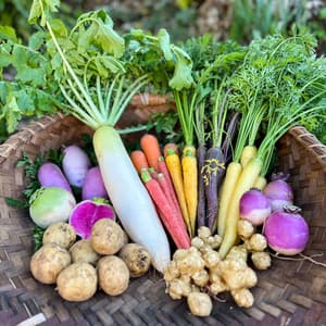 鹿児島県坊津から直送＜季節の野菜詰合せ＞自然栽培の彩り野菜をおまかせで葉物・カラフル野菜など5〜7品の口コミ・レビュー(カズさん)