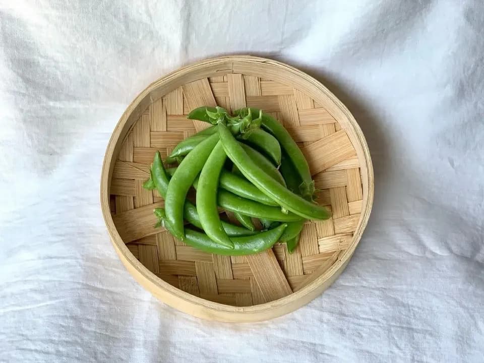 鹿児島坊津で農薬・肥料不使用＜自然栽培のスナップエンドウ＞甘い春の味